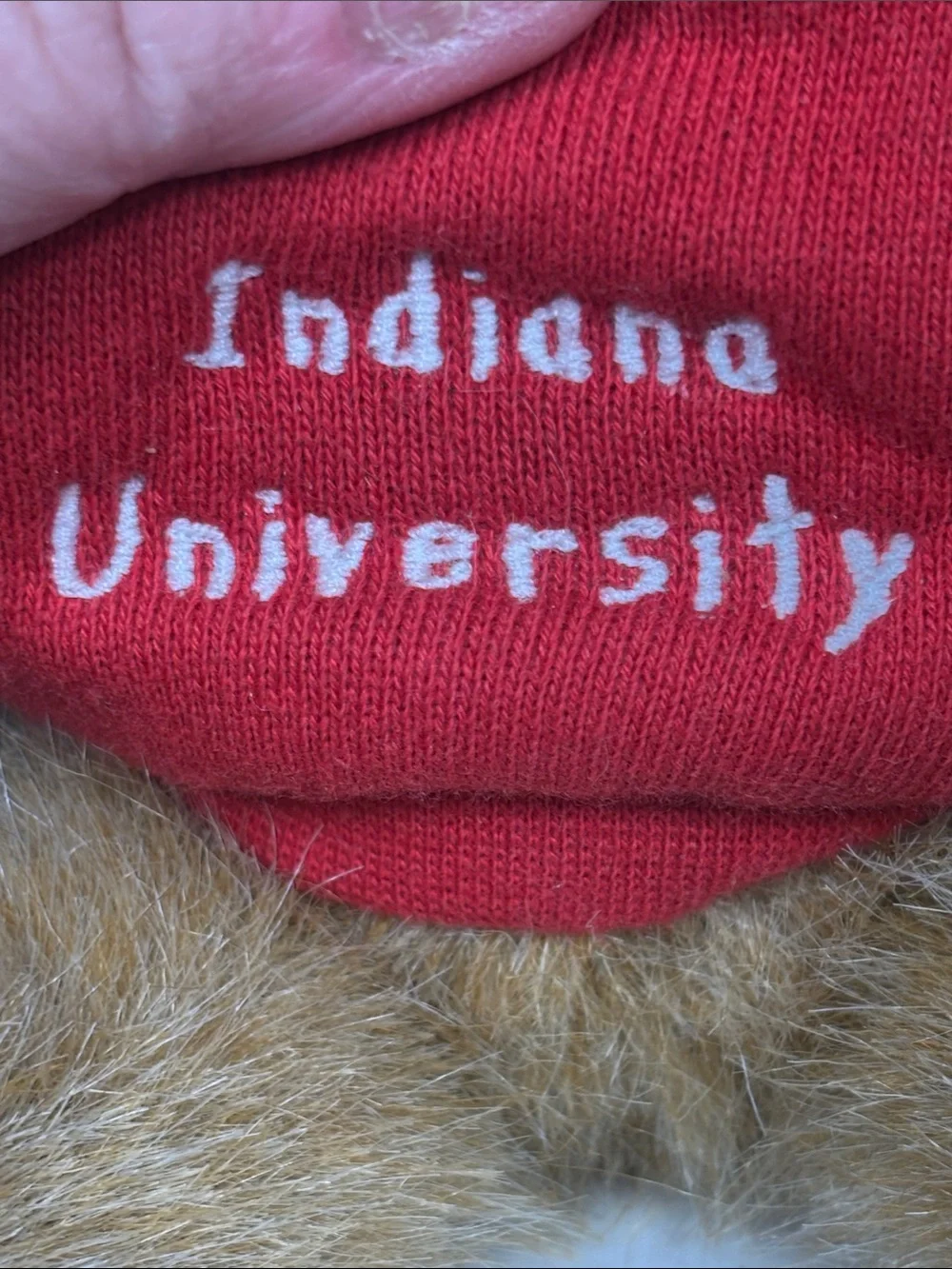 Boyds Head Bean Indiana University Teddy Bear Plush IU Hoosiers 5” With Hang Tag - Picture 13 of 15